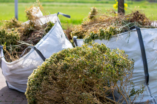 Best Full-Service Junk Removal  in Douglas, AZ